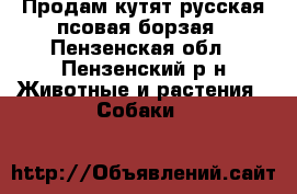 Продам кутят русская псовая борзая - Пензенская обл., Пензенский р-н Животные и растения » Собаки   